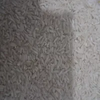 برنج سال اول