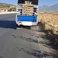 بار بری حمل وجابجایی بار با وانت نیسان (سایپا)
