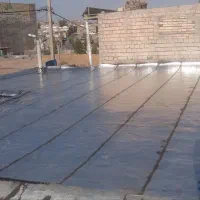 ایزوگام زنگوئی
