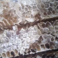 عسل اصل