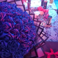 اجاره باغ وتولدو سالن vip با موزیک نورپردازی