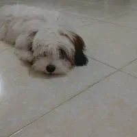 ۰۰۰