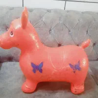 اسب بادی