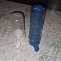 جا آبی طوطی