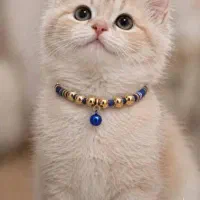 قلاده های مرواریدی برای سگ و گربه قیمت عمده