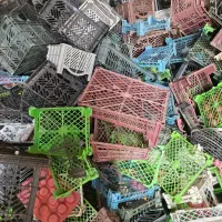 سبد|عمده‌فروشی|خرامه, |دیوار