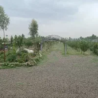 کارگر ساده در باغ با خانواده