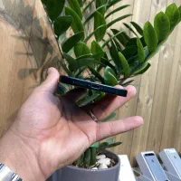 iPhone16proMax 256g 97%|موبایل|یزد, |دیوار