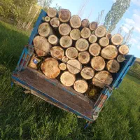 خریدار چوب همه نوع چوب خریداریم به قیمت بالا