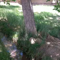 زمین ماهان حصار شده