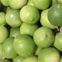 لیمو ایسونم