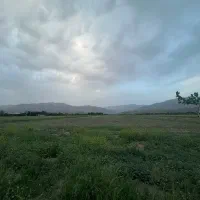فروش زمین ۴۵۵ متری