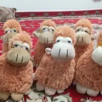 عروسک