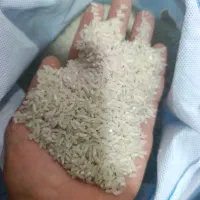 برنج پاکستانی