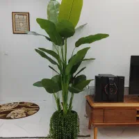 (گالری بهشت) تولید درختچه مصنوعی پرنده بهشتی