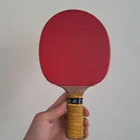 دسته پینگ پنگ، دونیک