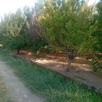 فروش-باغ-درروستای-کردلر