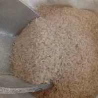 فروش برنج کامفیروزی به شرط پخت