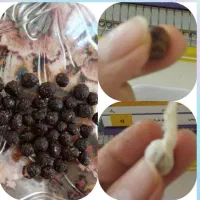 قرص ناف گیاهی