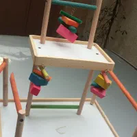 لوازم بازی طوطی و عروس