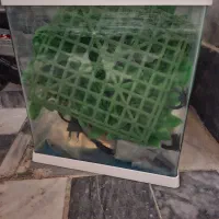 آکواریوم