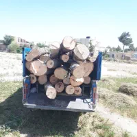 خرید و فروش چوب