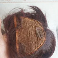 کلاه گیس
