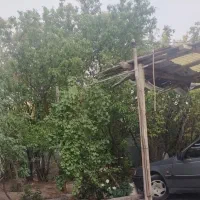باغ-گلدشت
