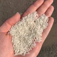 برنج طارم هاشمی درجه یک