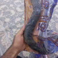انژکتورنیسان وجنت