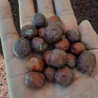 عناب خشک پارسالی درهم