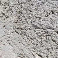 تفاله چغندر