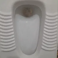 سنگ سرویس بهداشتی