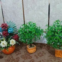 درخچه