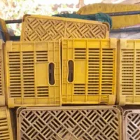 سبدپلاستیکی بزرگ جهت گوجه ربی و ...