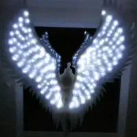 بال فرشته