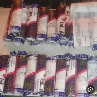 سفر.یکبار مصرف کیسه زباله