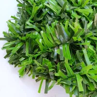 فنس چمنی