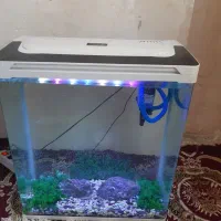 آکواریوم شیشه خم شرکتی  ۶۰ سانت ارتفاع ۶۵