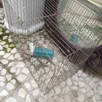 قفس پرنده