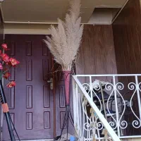 اجرای سقف پی وی سی (آذران)کناف،تایل۶۰×۶۰