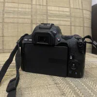 کنون250D|دوربین عکاسی و فیلم‌برداری|بابل, |دیوار