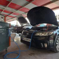 کربن زدایی و شستشوی کاتالیزور درجا