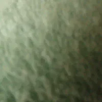شن شسته رایگان