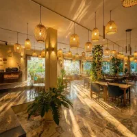 استخدام کباب پز منقل کار به همراه جای خواب