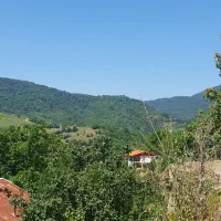 زمین مسکونی روستای ییلاقی پاجی شهرستان ساری