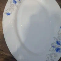 دیس غذا خوری گل ابی
