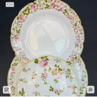 ارکوپال گلدار