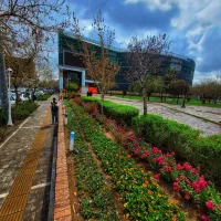 فروش مغازه در پارک بازار/طبقه سینما