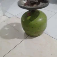 پیک نیک سالم